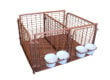double gate calf pen