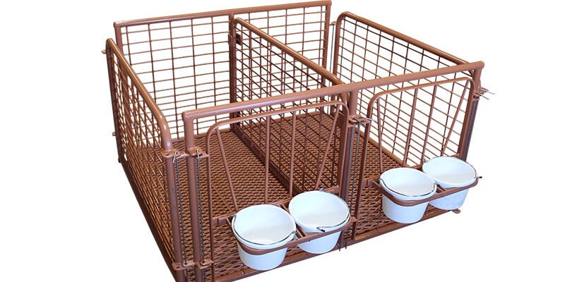 Double 30x60_gate double gate calf pen