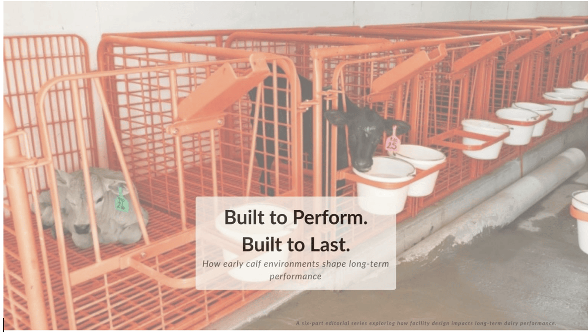 article-image-1 ammonia in calf barns